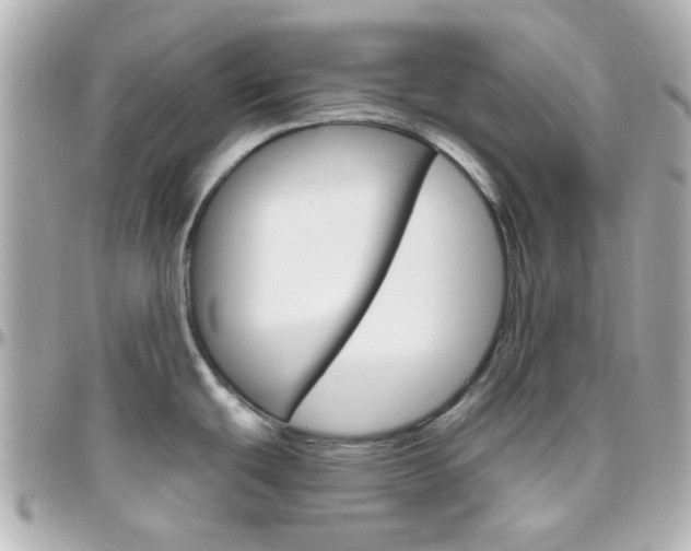 X0000096411439200801241016
