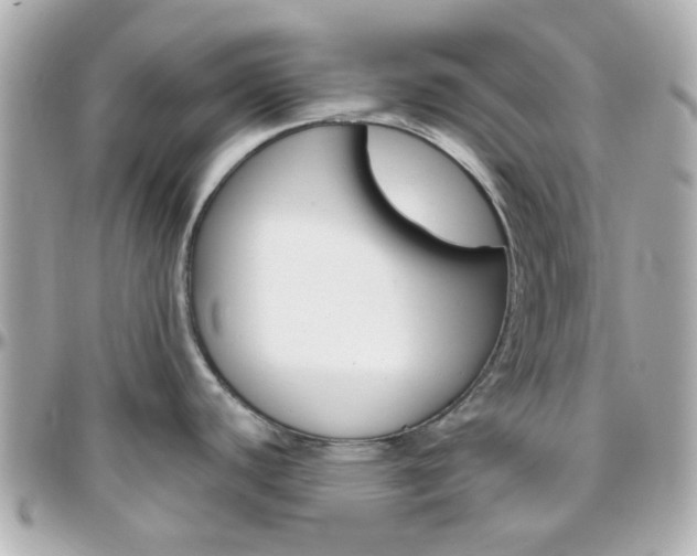 X0000096411440200801241016