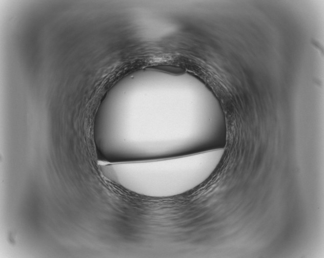 X0000096411441200801241015