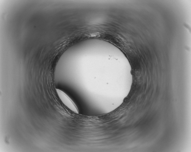 X0000096411442200801241015