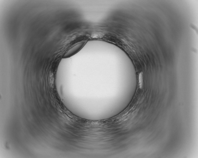 X0000096411443200801241015