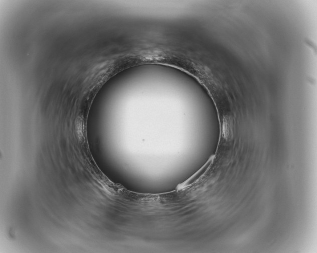 X0000096411444200801241015