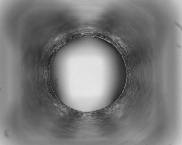 X0000096411445200801241015