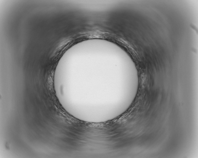 X0000096411446200801241015