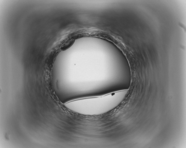 X0000096411447200801241015