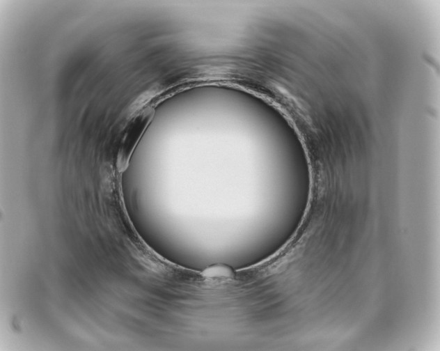 X0000096411449200801241015