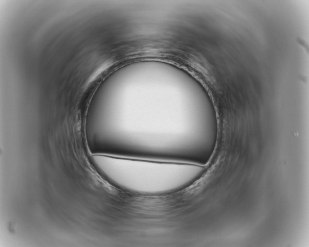 X0000096411450200801241015