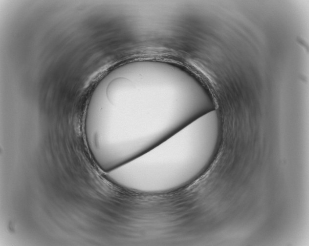 X0000096411451200801241015