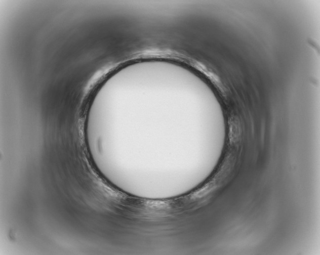 X0000096411454200801241015