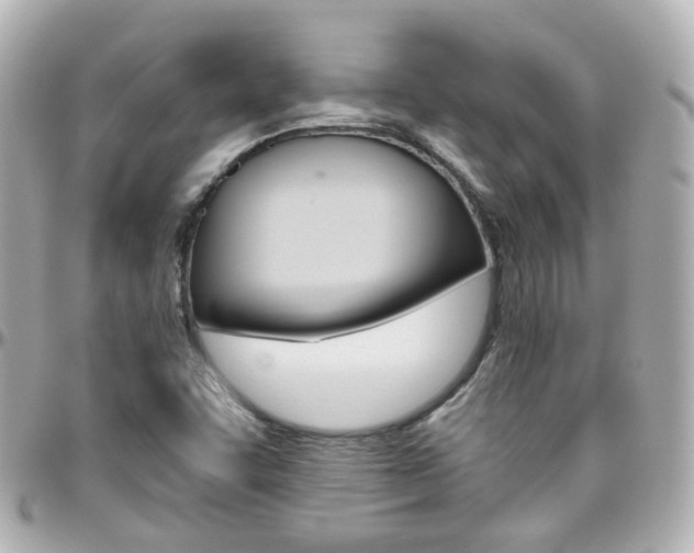 X0000096411455200801241015