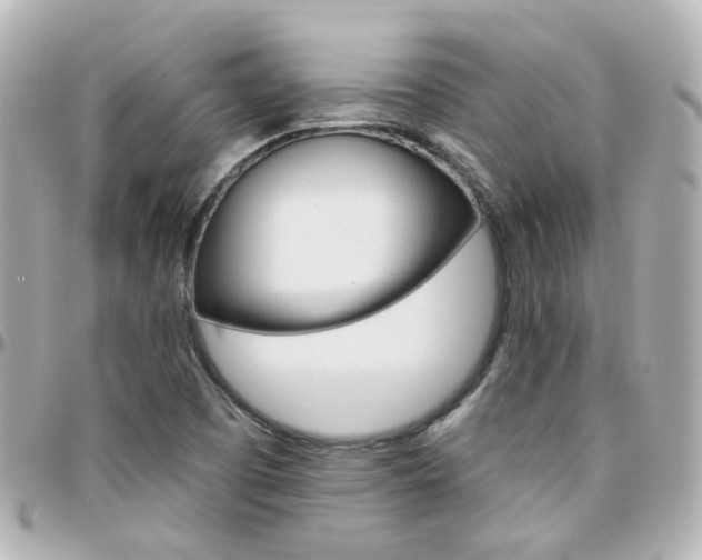 X0000096411457200801241015
