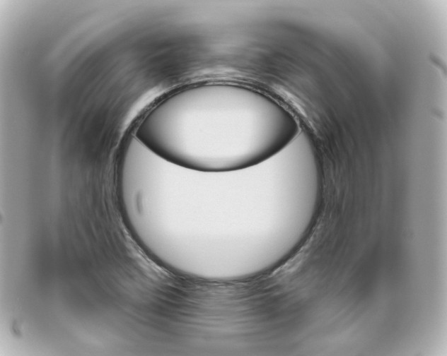 X0000096411458200801241015