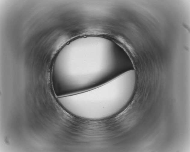 X0000096411459200801241015