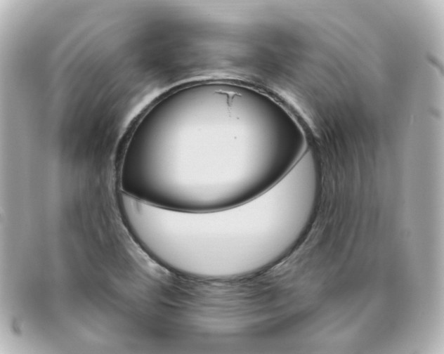 X0000096411460200801241015