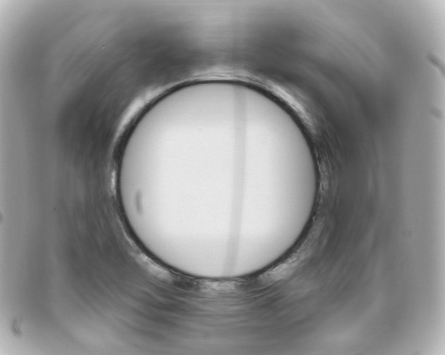 X0000096411462200801241015