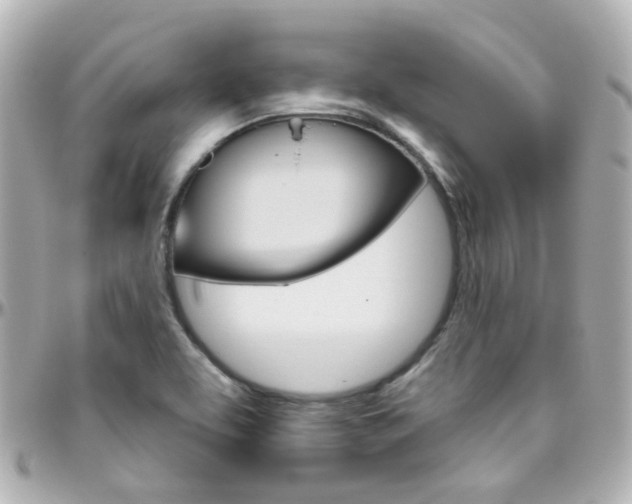 X0000096411463200801241015