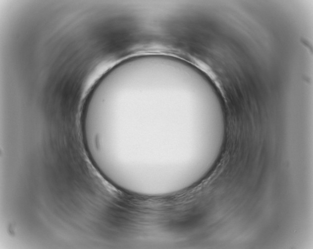 X0000096411464200801241015