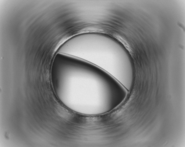 X0000096411465200801241015