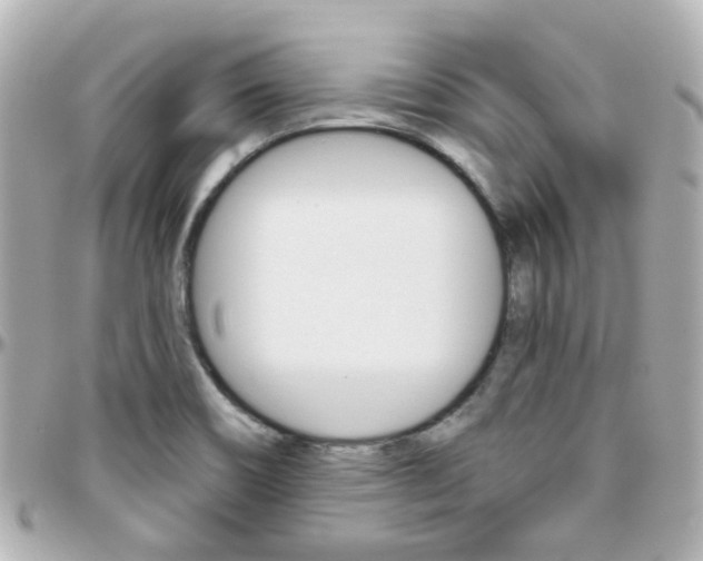 X0000096411466200801241015