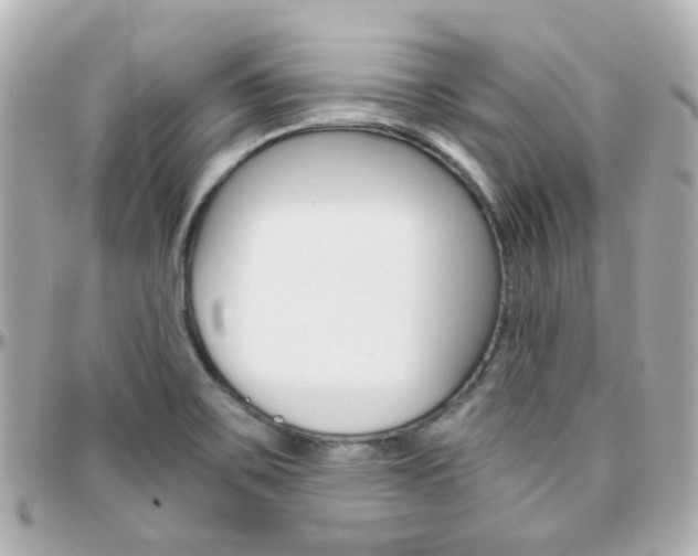X0000096411467200801241015