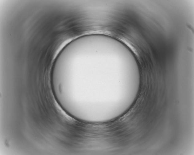 X0000096411468200801241015