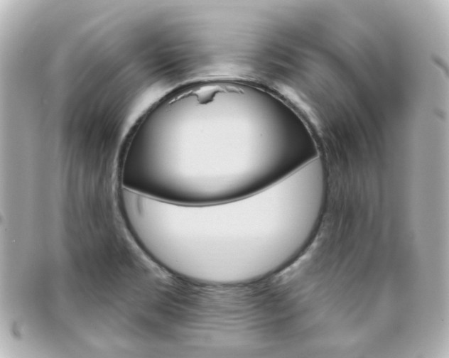 X0000096411469200801241015