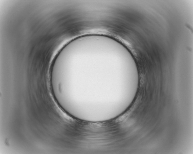 X0000096411470200801241014