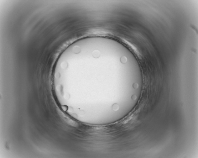 X0000096411471200801241014