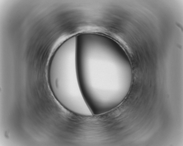 X0000096411472200801241014