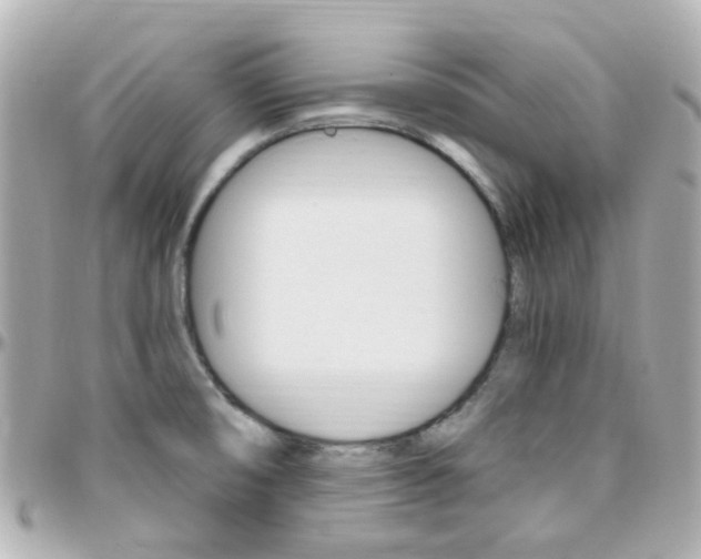 X0000096411474200801241014