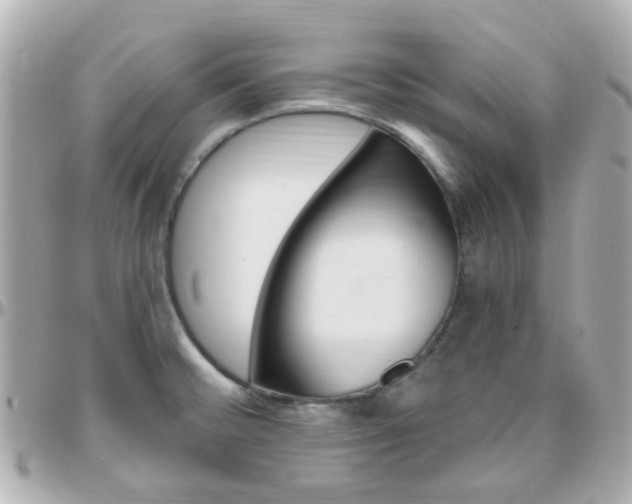 X0000096411476200801241014