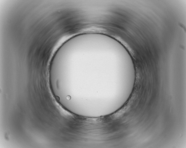 X0000096411478200801241014