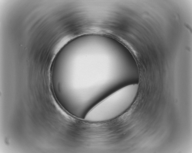 X0000096411479200801241014