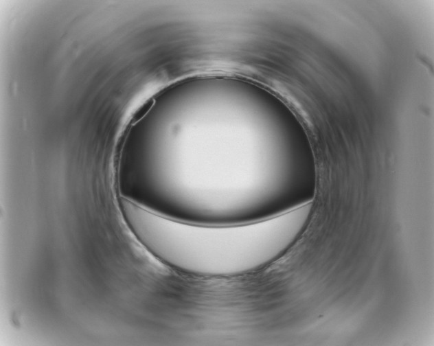 X0000096411480200801241014