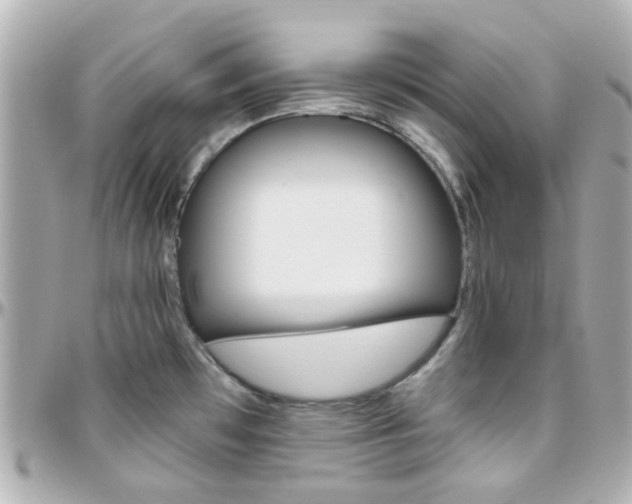 X0000096411481200801241014