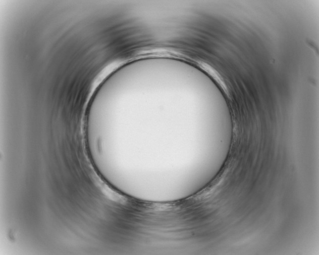 X0000096411482200801241014