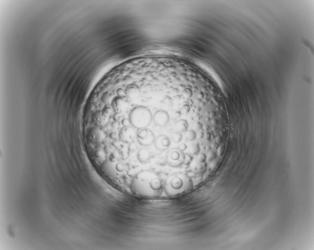 X0000096411483200801241014