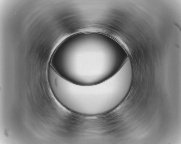 X0000096411484200801241014