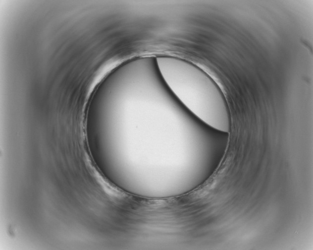 X0000096411485200801241014