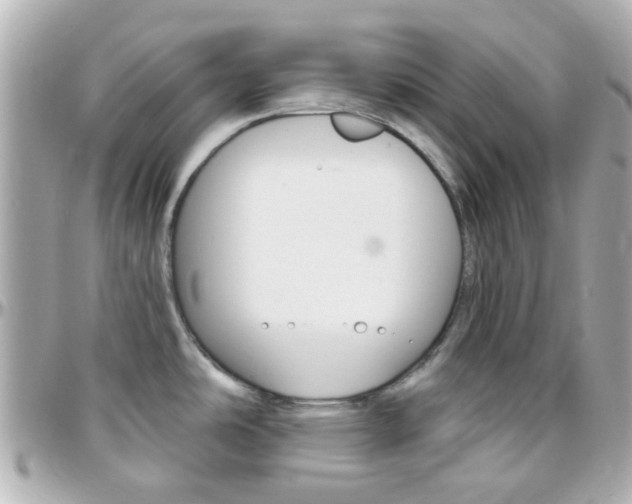 X0000096411486200801241014