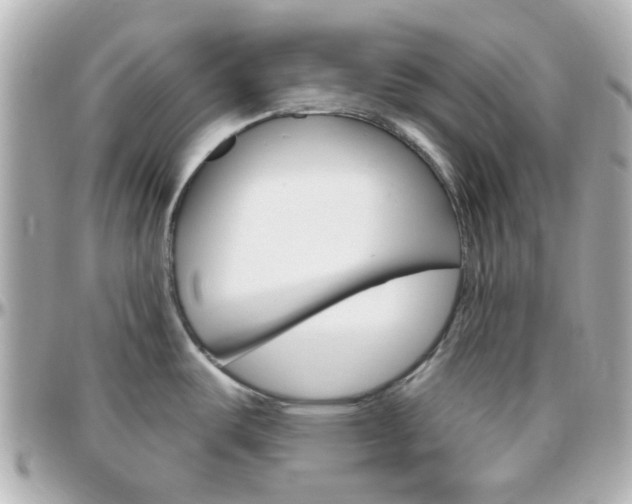 X0000096411487200801241014