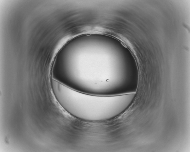 X0000096411488200801241014