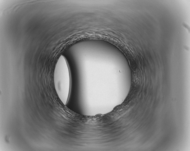 X0000096411490200801241014