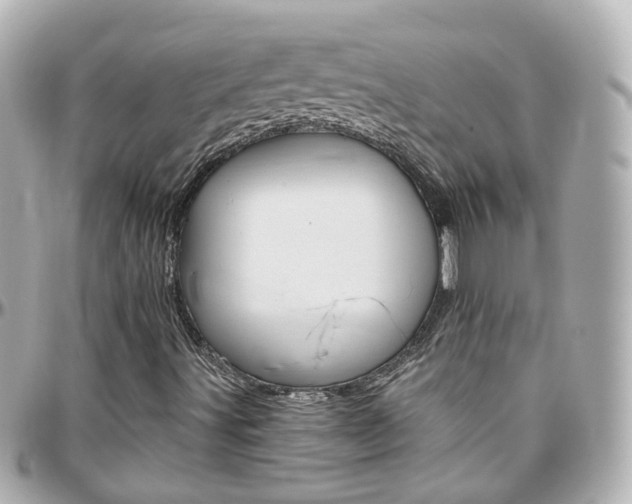 X0000096411491200801241014