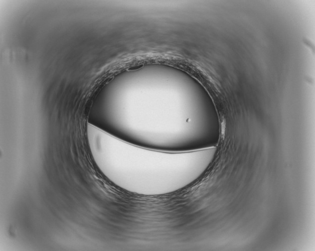 X0000096411492200801241014