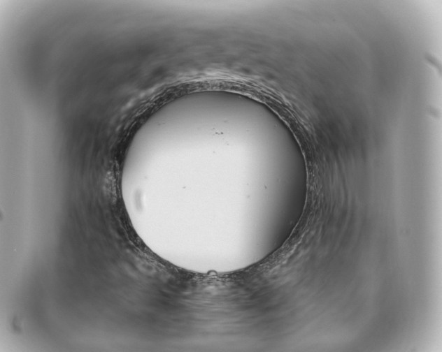 X0000096411493200801241014
