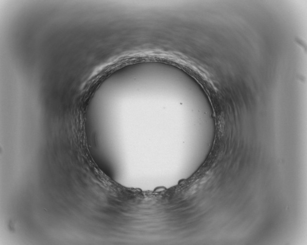 X0000096411494200801241014