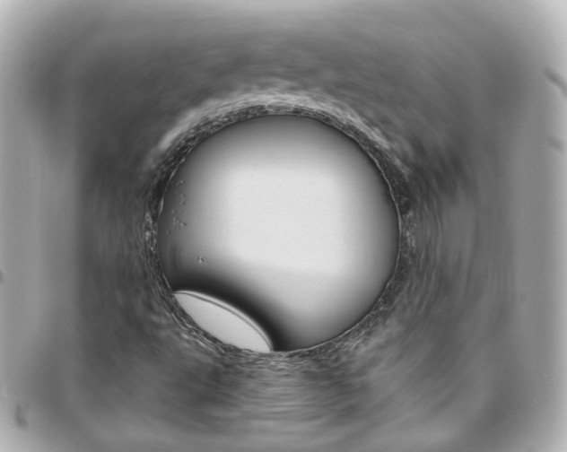 X0000096411495200801241014