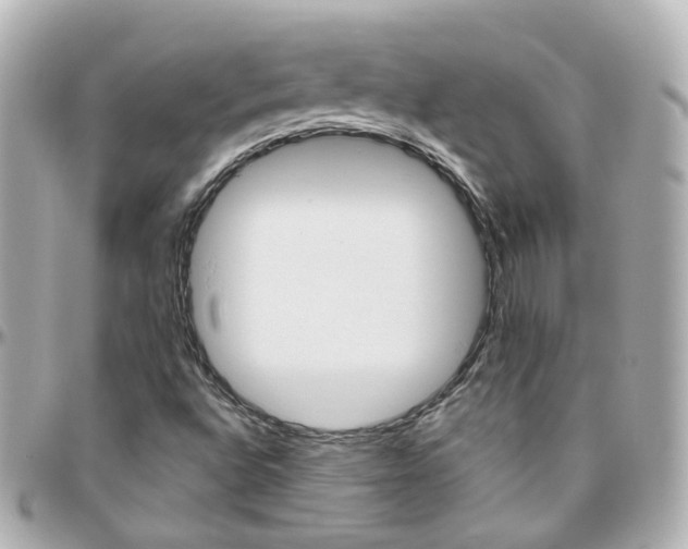 X0000096411496200801241014
