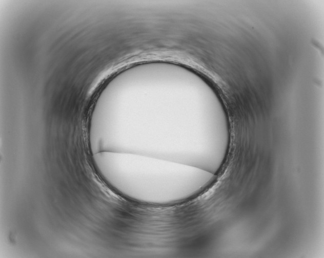 X0000096411498200801241014